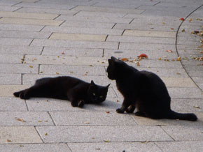 なにしてんの？